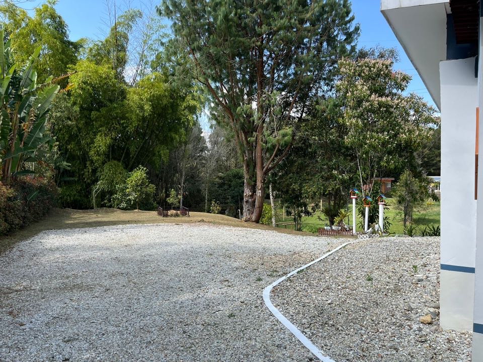 Miniatura 25