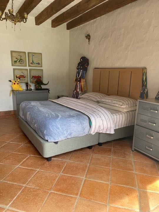 Miniatura 13