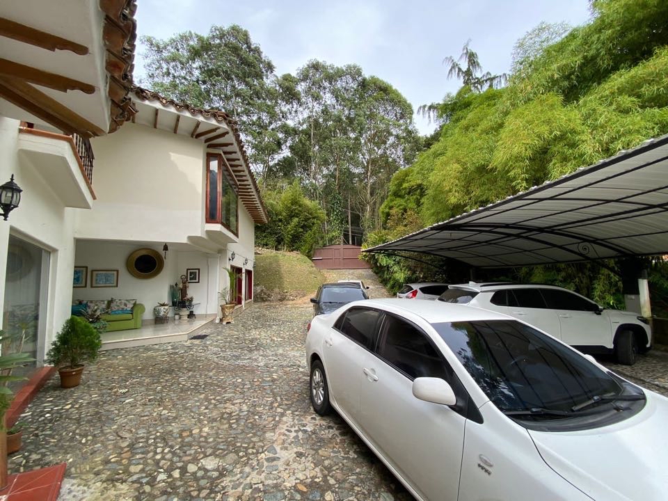 Miniatura 15