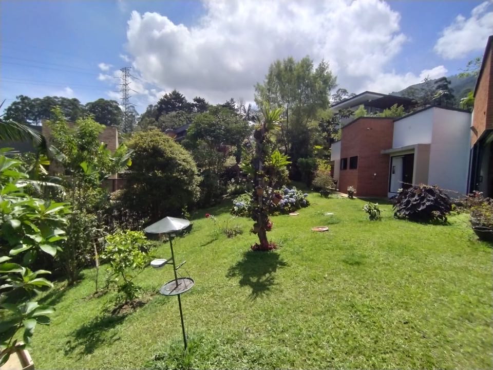 Miniatura 21