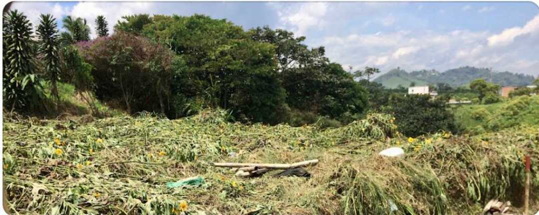 Imagen de Lote condominio en La Pradera Dosquebradas