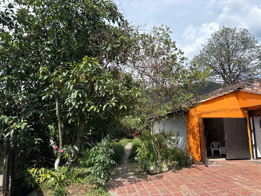 Foto 2