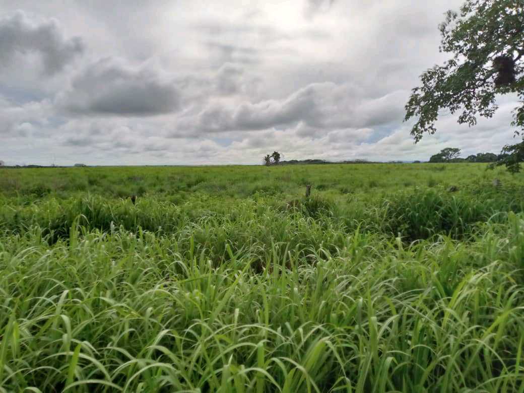 Lote de Terreno en venta en Guarico KA-9291637 - Foto 1
