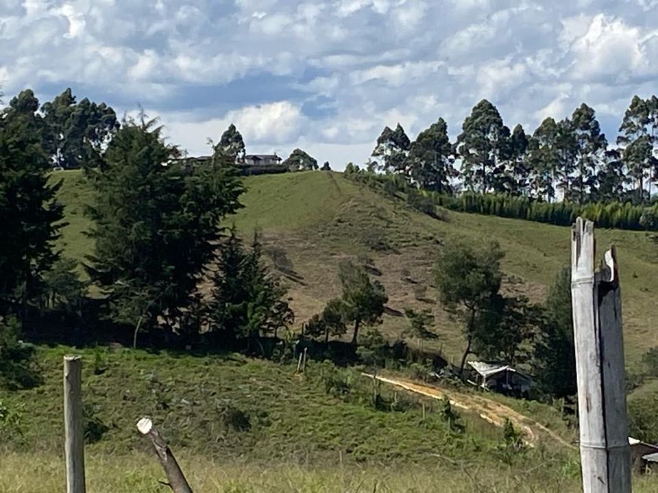 Miniatura 9