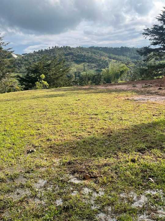 Lote en el peñol vereda pozo
