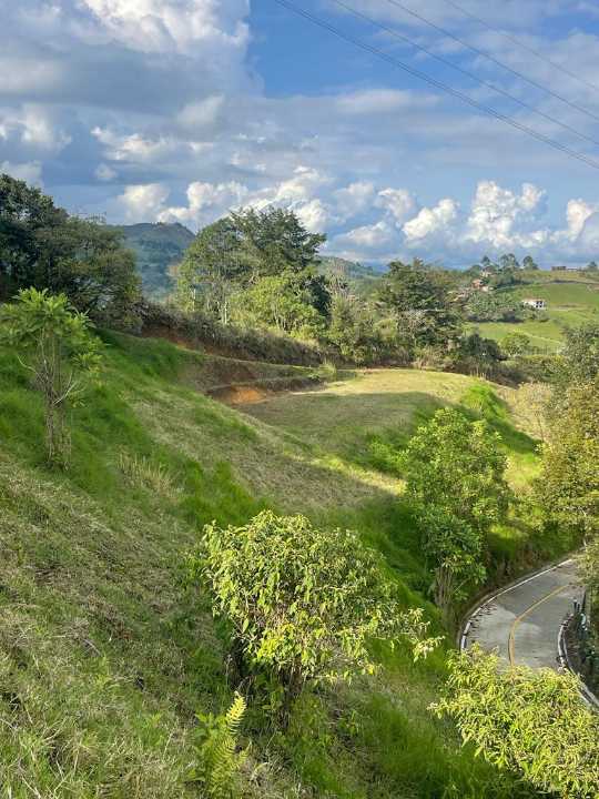 Foto 4 de Lote En El Peñol vereda pozo