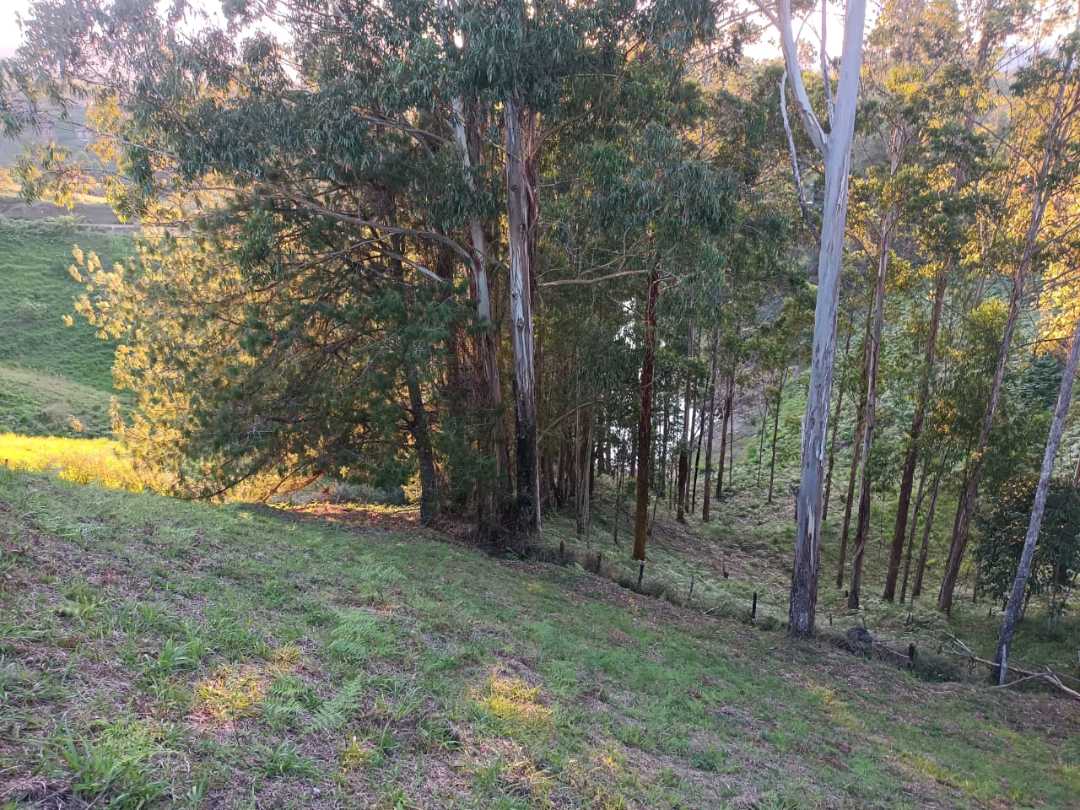 Lote en el peñol con embalse fácil acceso