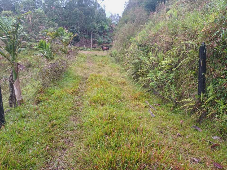 Foto 4 de Lote En El Peñol Sector Bonilla