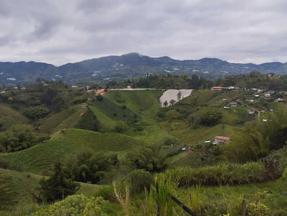 Lote en el peñol vereda el morro