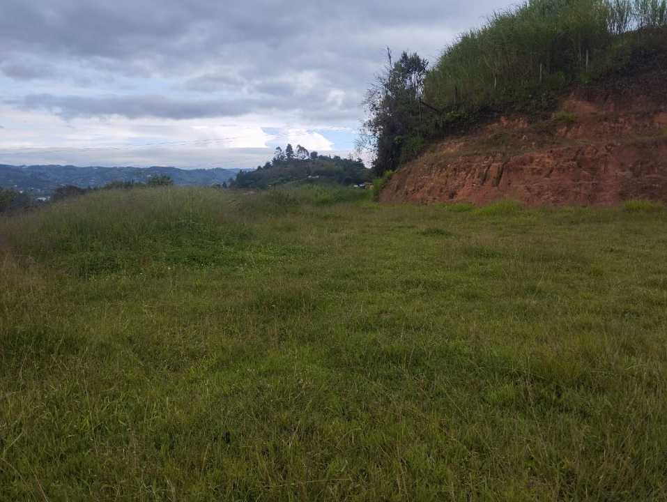 Foto 3 de Lote En El Peñol Vereda El Morro