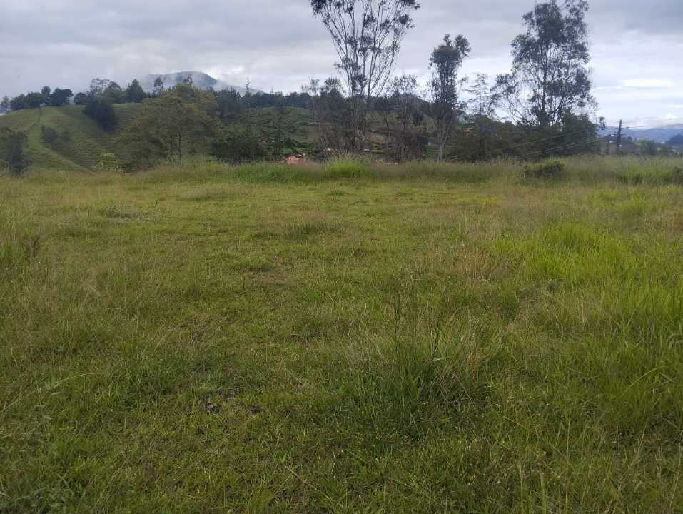 Foto 4 de Lote En El Peñol Vereda El Morro