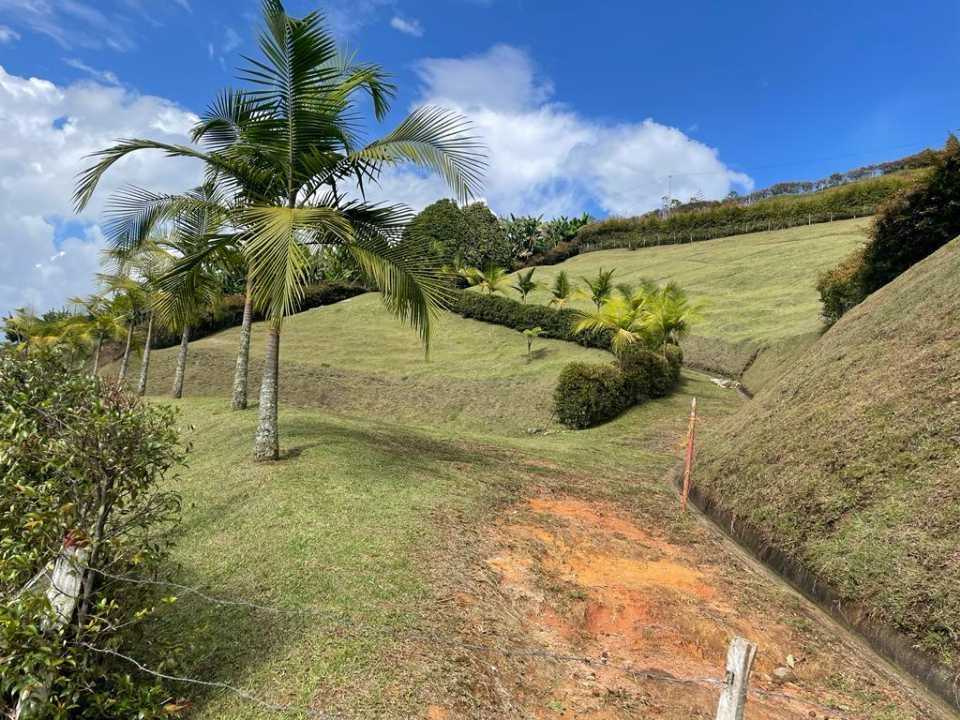 Foto 4 de Lote En El Peñol Vereda Uvital