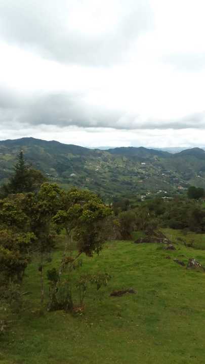 Lote en peñol vereda masetas