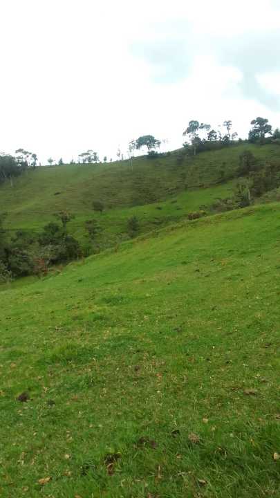 Foto 4 de Lote En Peñol Vereda Masetas
