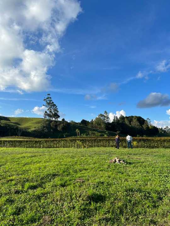 Foto 2 de Lote En Rionegro
