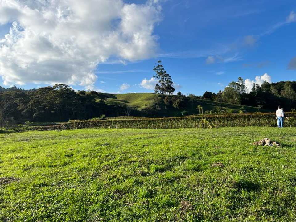 Foto 3 de Lote En Rionegro
