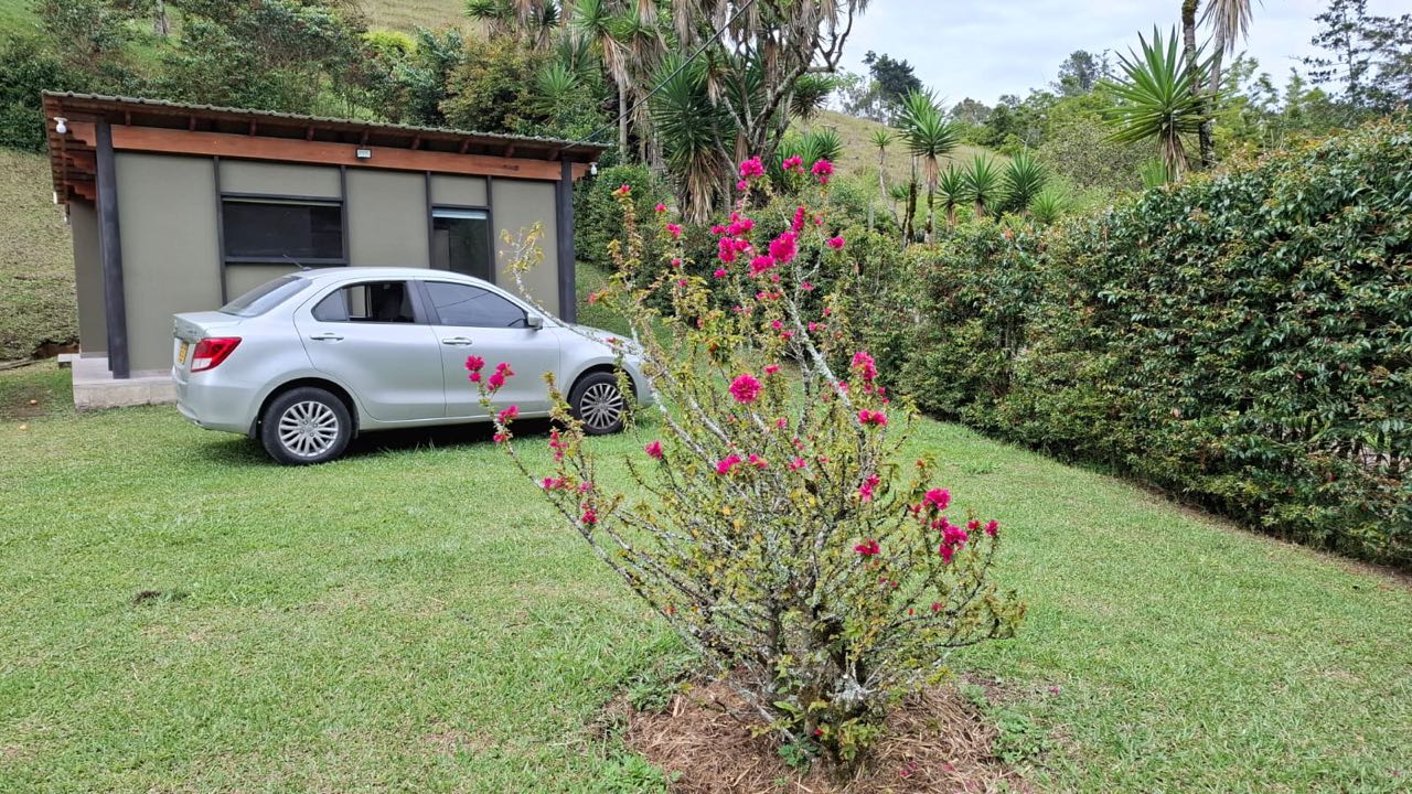 Miniatura 15