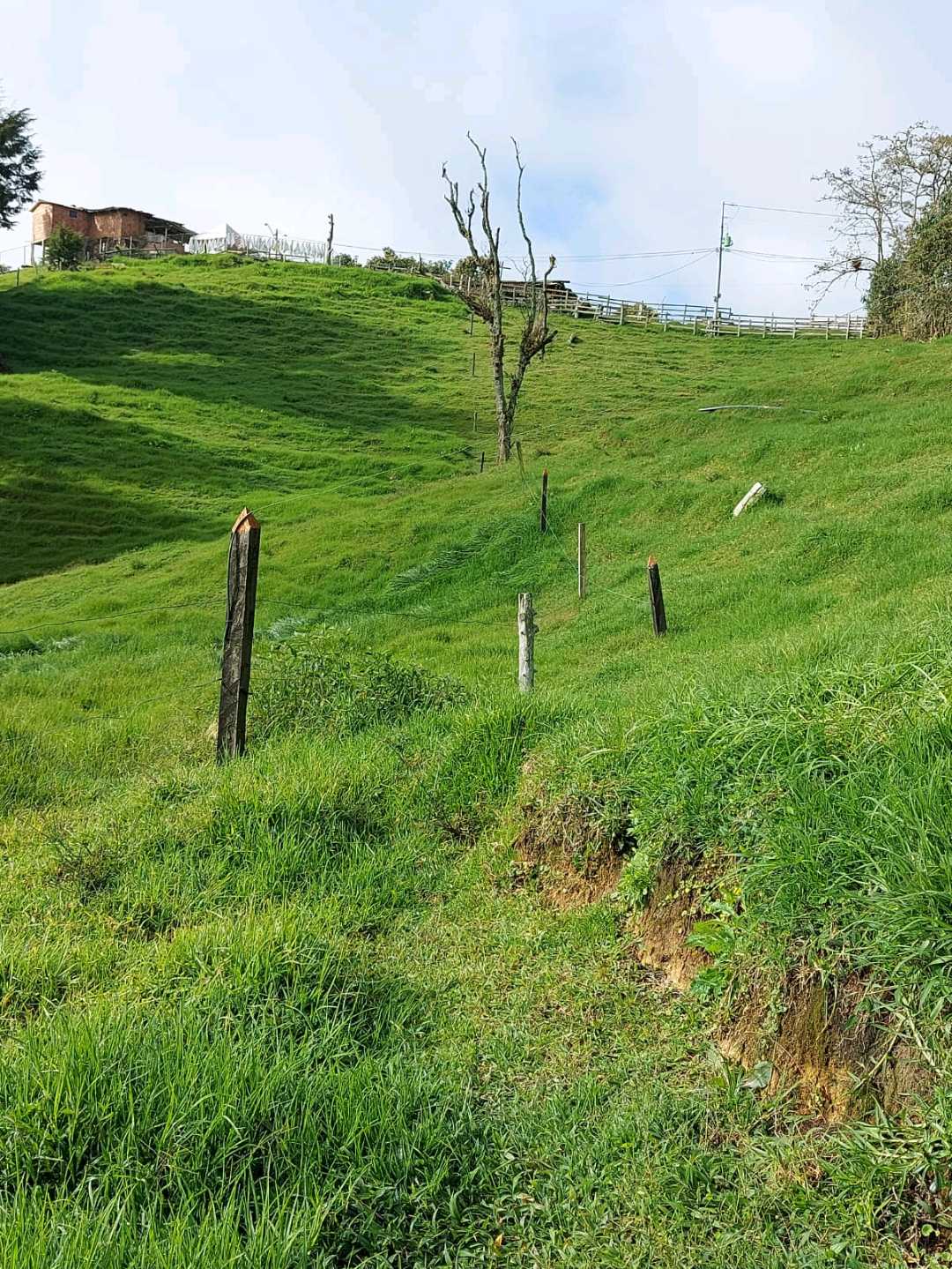 Foto 4 de Lote en san Félix Sector el Yarumo