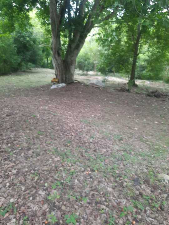 Foto 3 de Lote En San Jerónimo