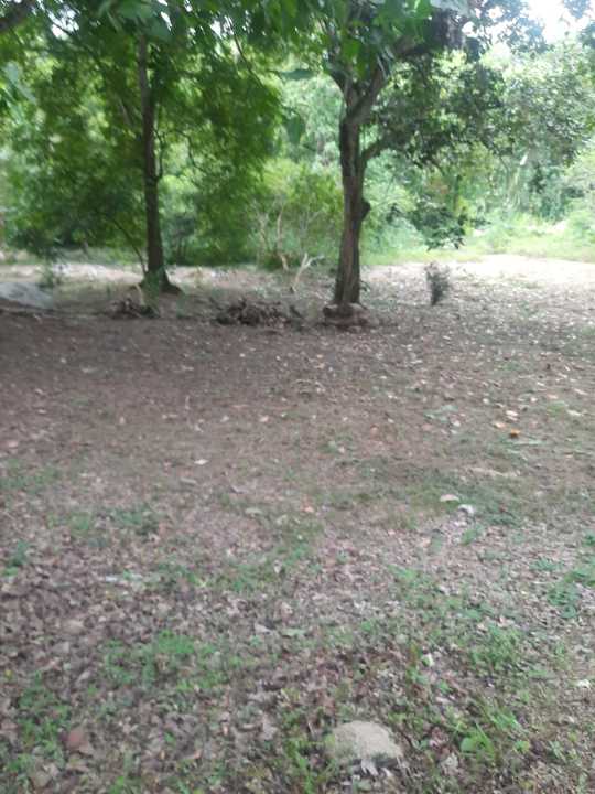 Foto 4 de Lote En San Jerónimo