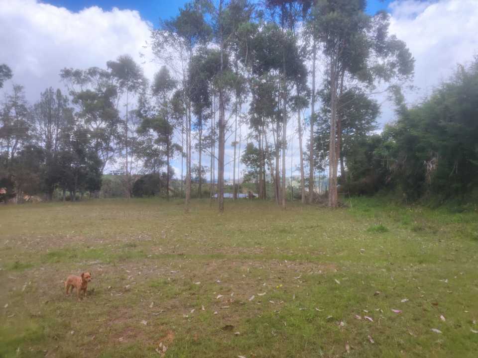 Lote en Vereda Porquera, San Vicente, Antioquia