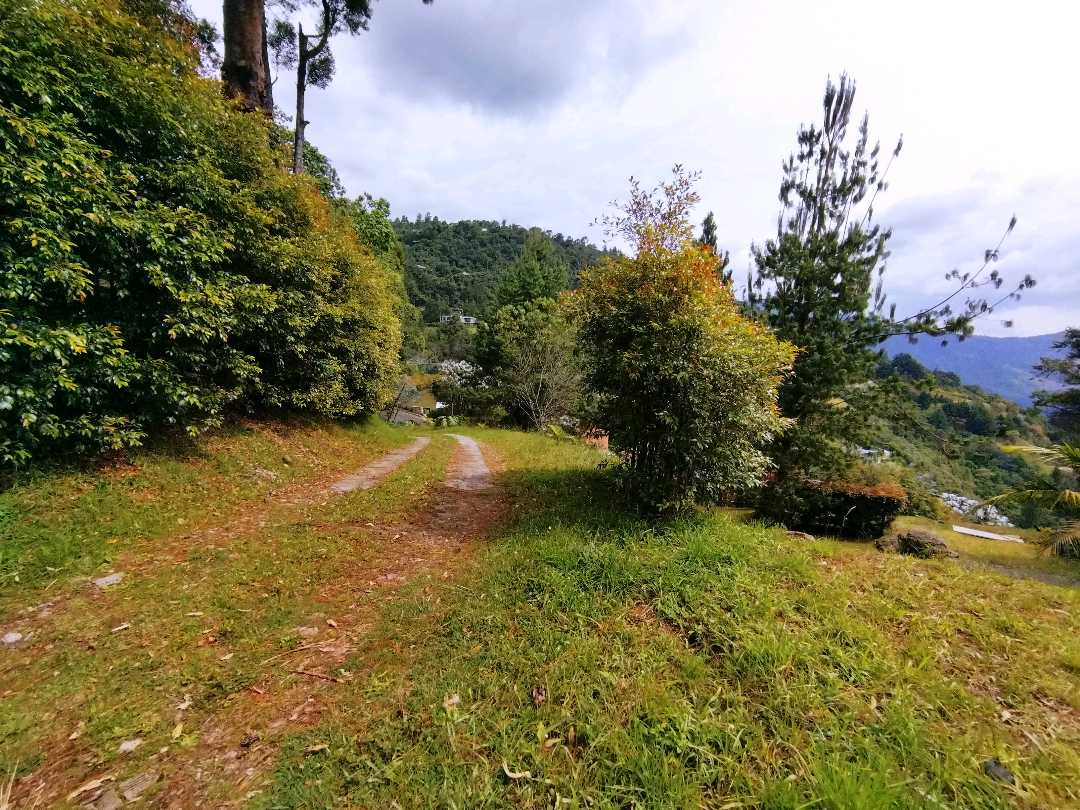 Miniatura 10