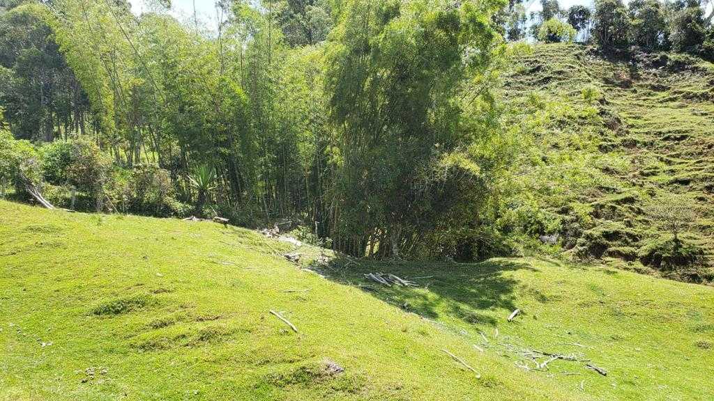 LOTE EN VENTA EN GUATAPE — foto 2 de 9