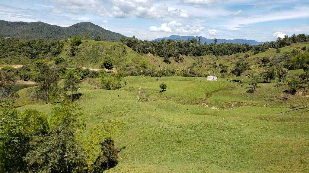 LOTE EN VENTA EN GUATAPE — foto 3 de 9