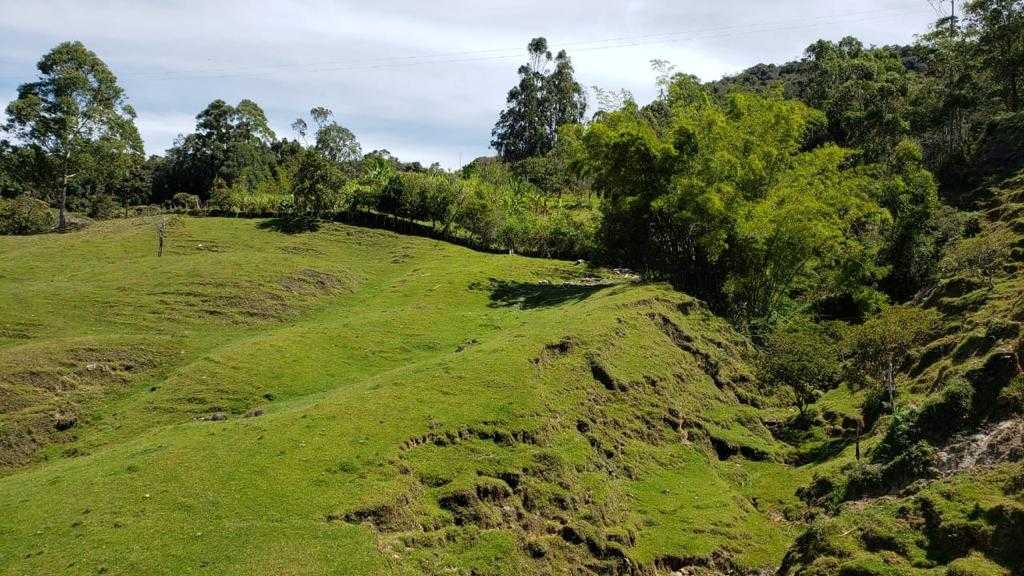 LOTE EN VENTA EN GUATAPE — foto 4 de 9