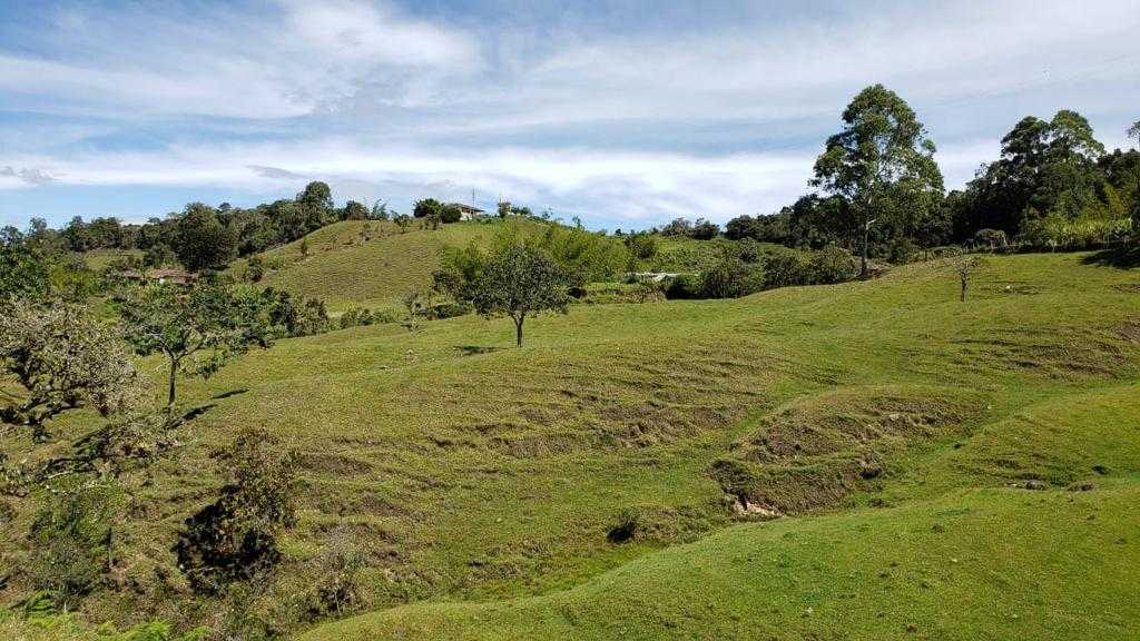 LOTE EN VENTA EN GUATAPE — foto 5 de 9