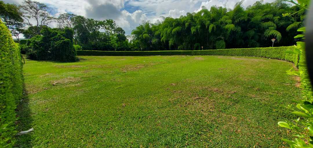 Imagen de Lote esquinero para la venta (T)