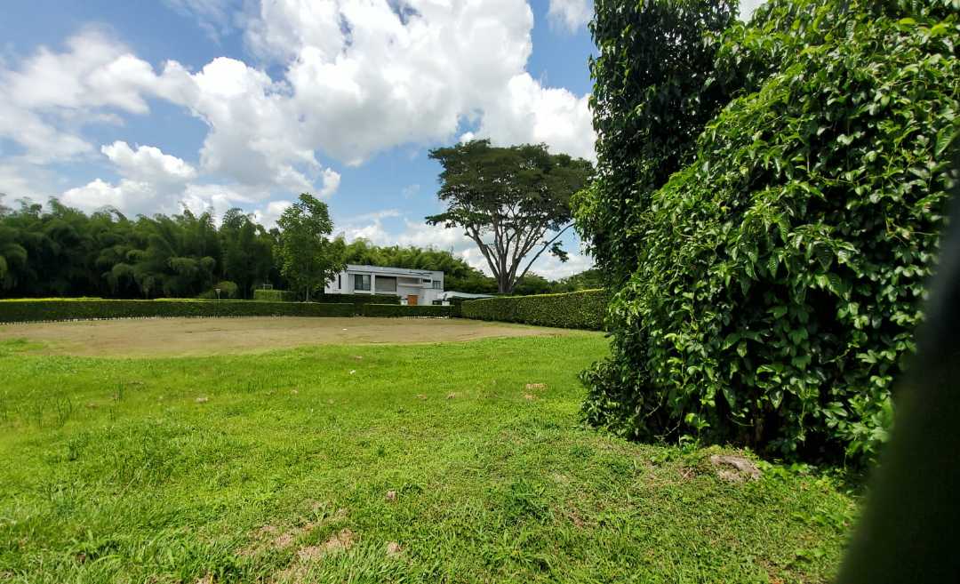 Imagen de Lote esquinero para la venta (T)