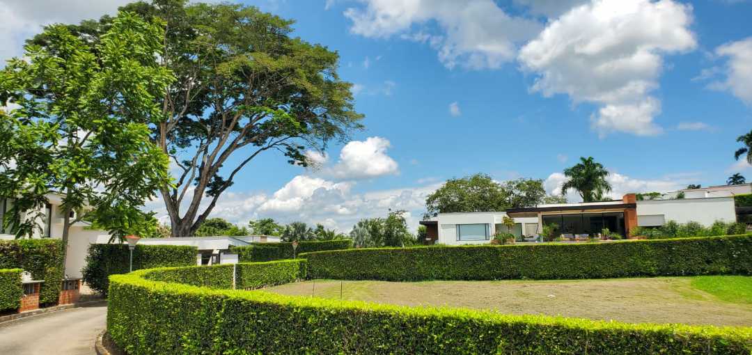Imagen de Lote esquinero para la venta (T)