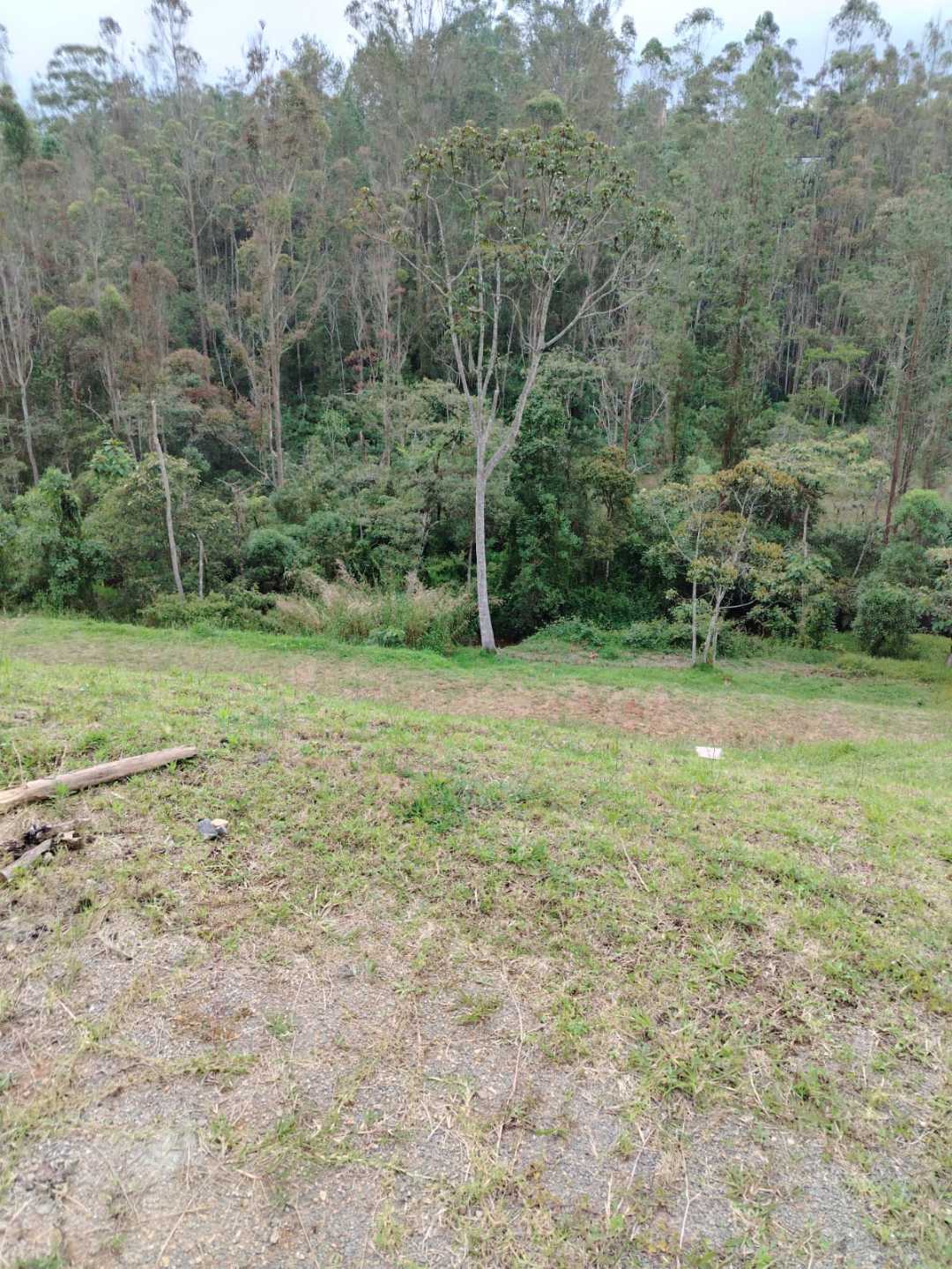 Lote para la venta en El Retiro