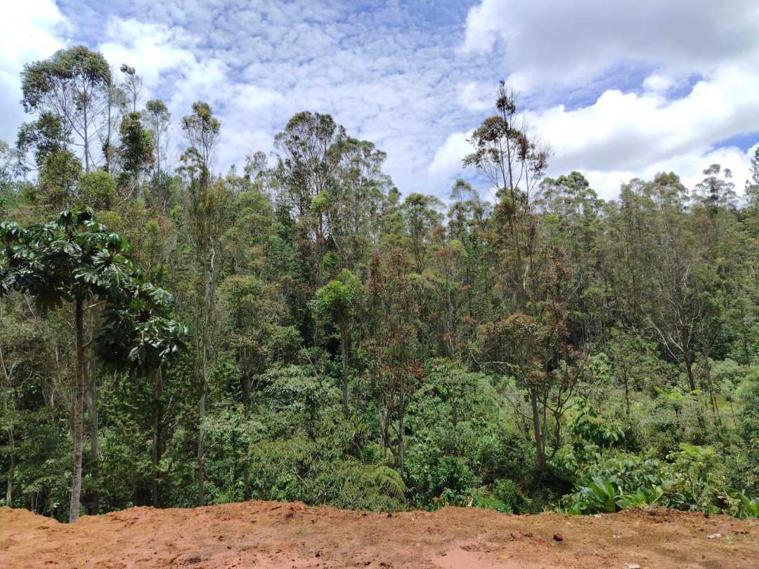 Lote para la venta en El Retiro