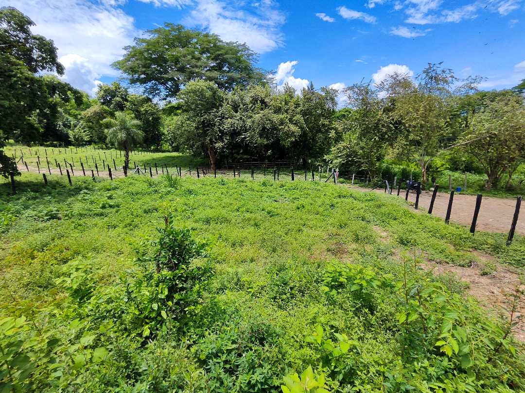 Lote terreno en sopetran a 6 minutos del pueblo