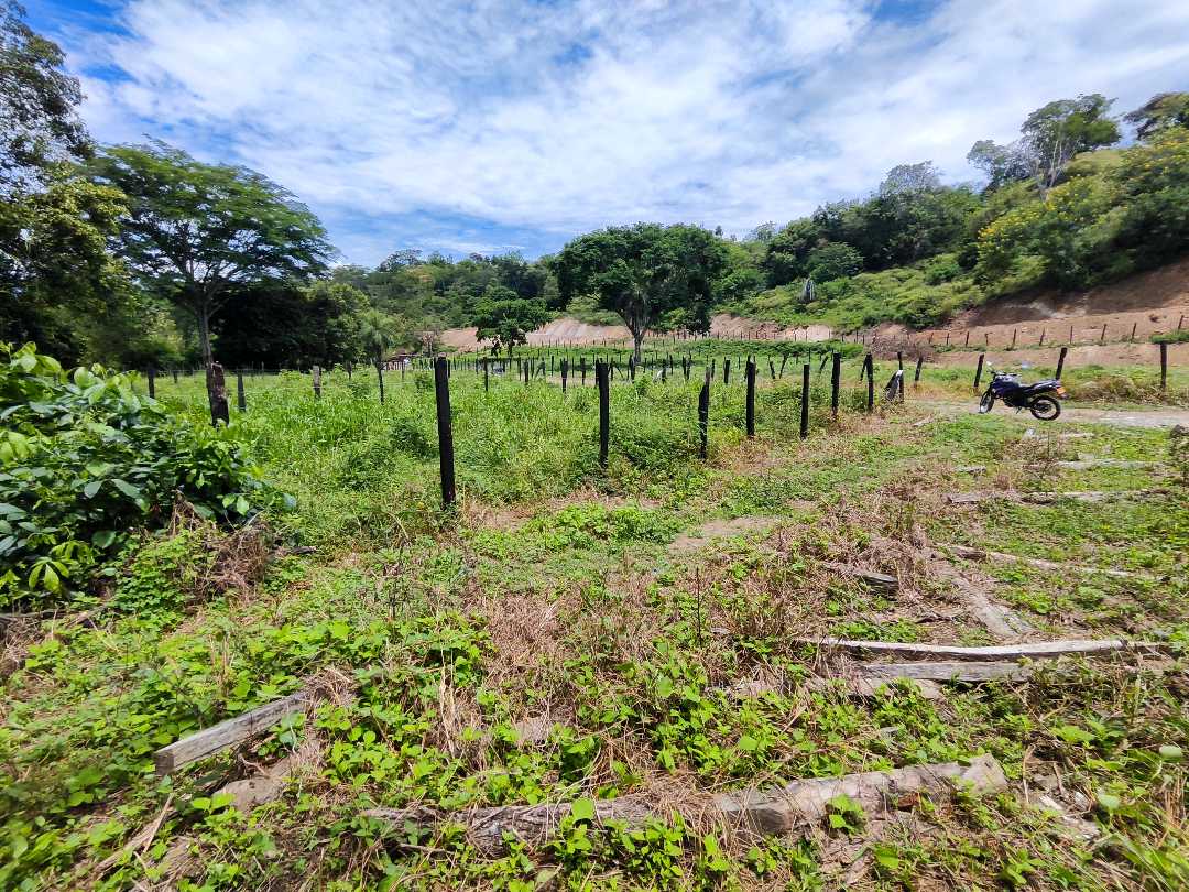 Foto 2 de Lote Terreno En Sopetran a 6 minutos del pueblo