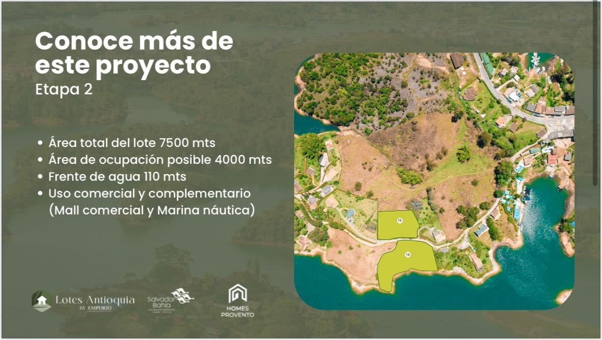 Miniatura 11