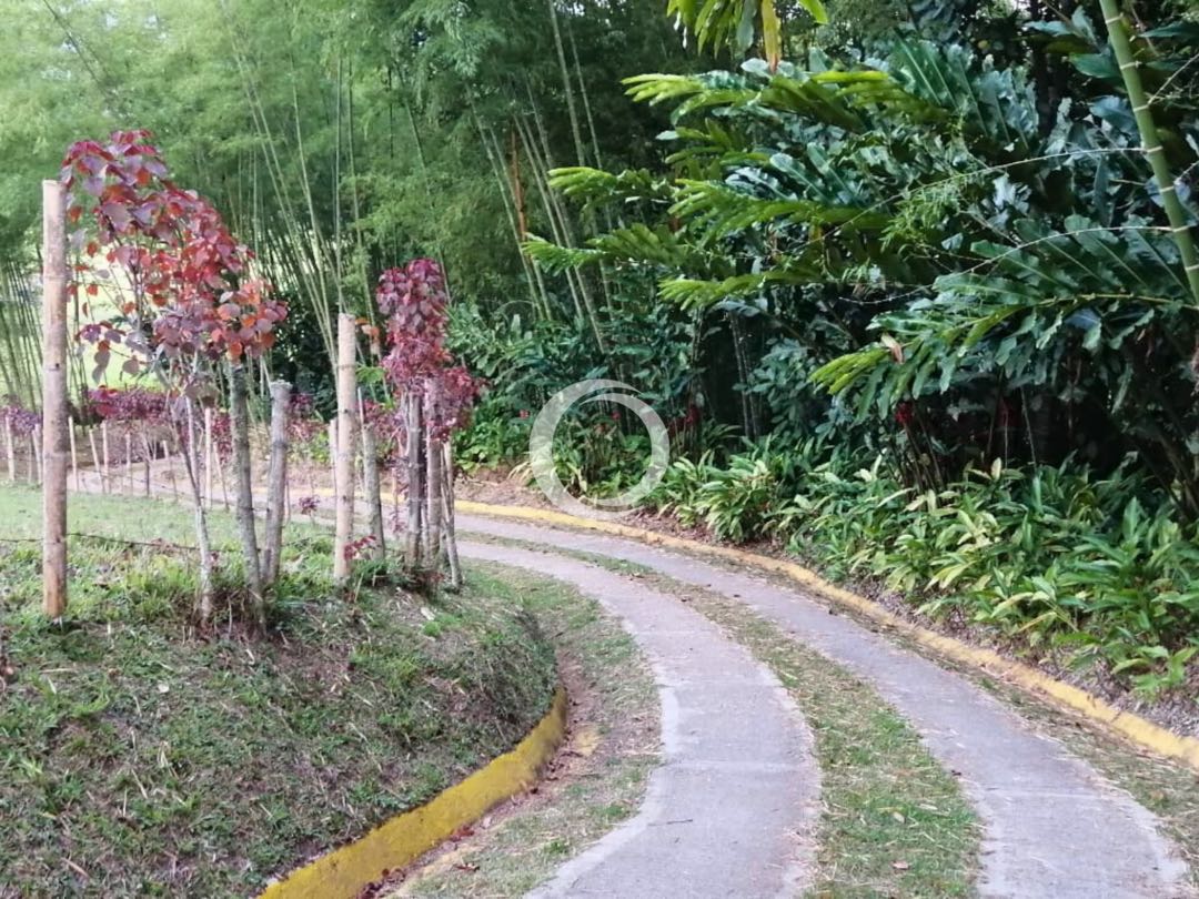 SE VENDE LOTES Y CABAÑA EN LAGO CALIMA DARIEN