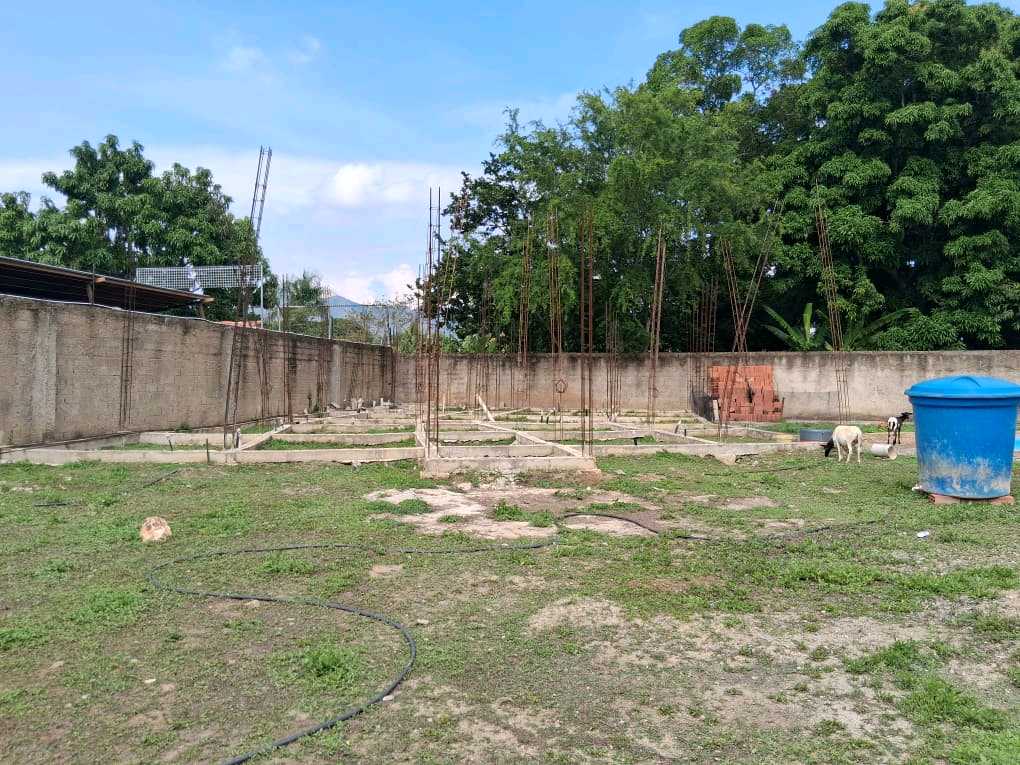 MINI GRANJA EN VENTA URB LAS MOROCHAS SAN DIEGO DF-9534457 - Foto 10