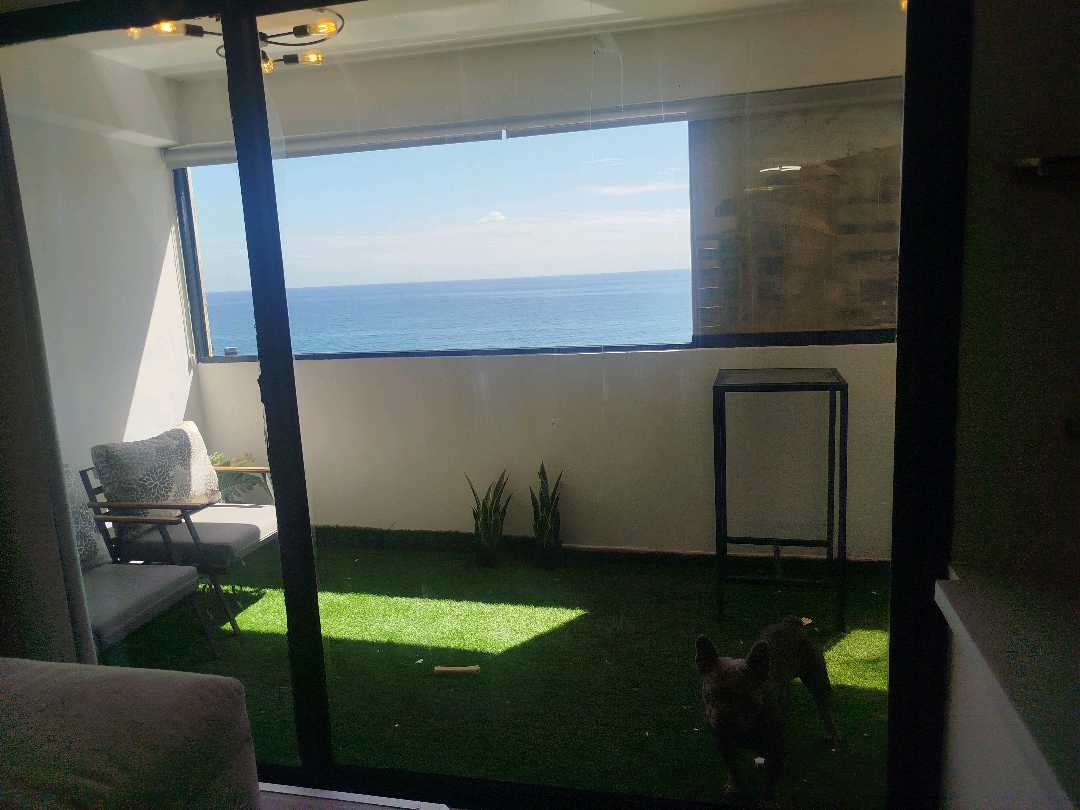 Gallery 1