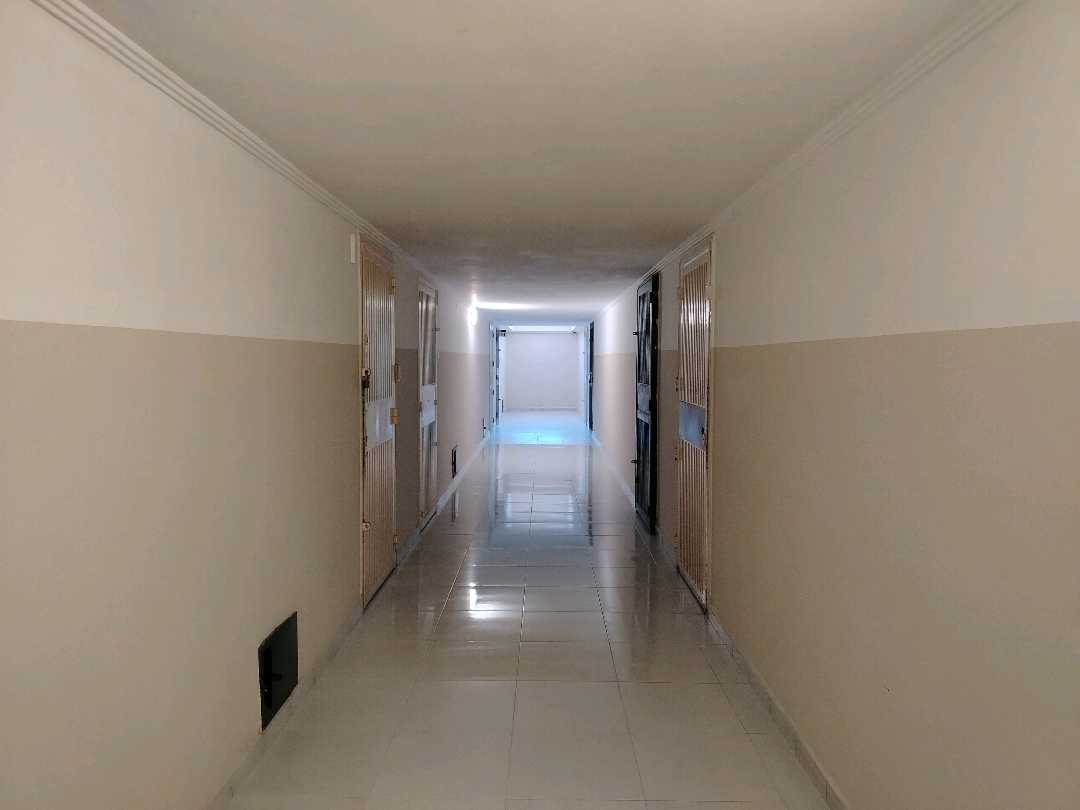 Oficina en Alquiler Av.Bolivar Maz 9786704 - Foto 10