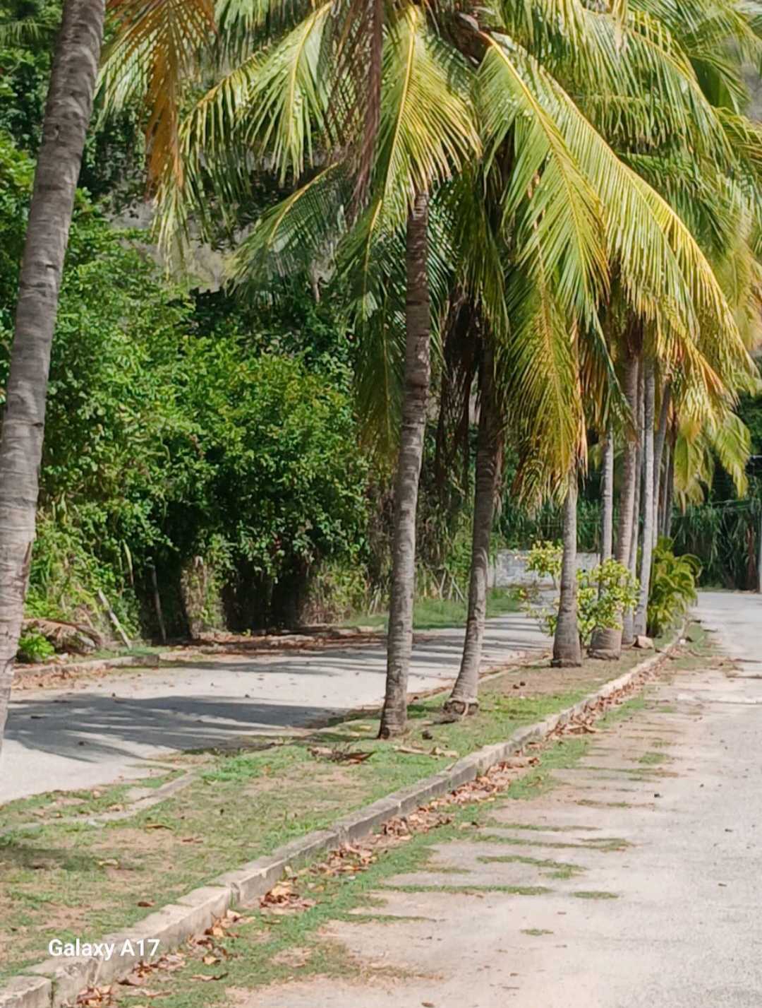 TERRENO EN VENTA EN  BAHIA DE CATA ESTADO ARAGUA  ML 9739213 - Foto 2