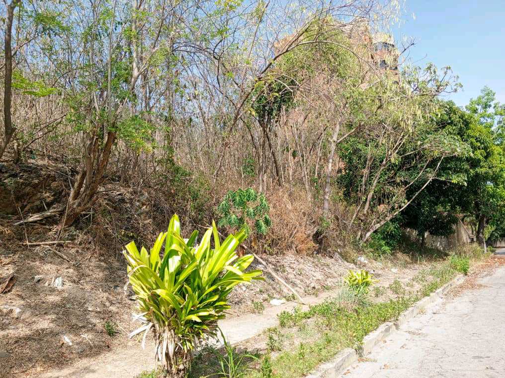 PARCELA EN VENTA EN EL PARRAL VALENCIA NORTE MVM-9549500 - Foto 2
