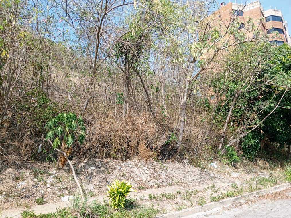 PARCELA EN VENTA EN EL PARRAL VALENCIA NORTE MVM-9549500 - Foto 3