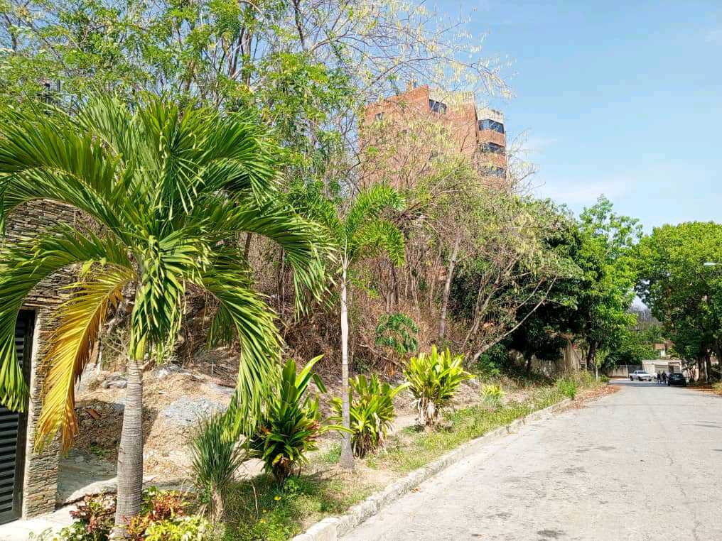 PARCELA EN VENTA EN EL PARRAL VALENCIA NORTE MVM-9549500 - Foto 4