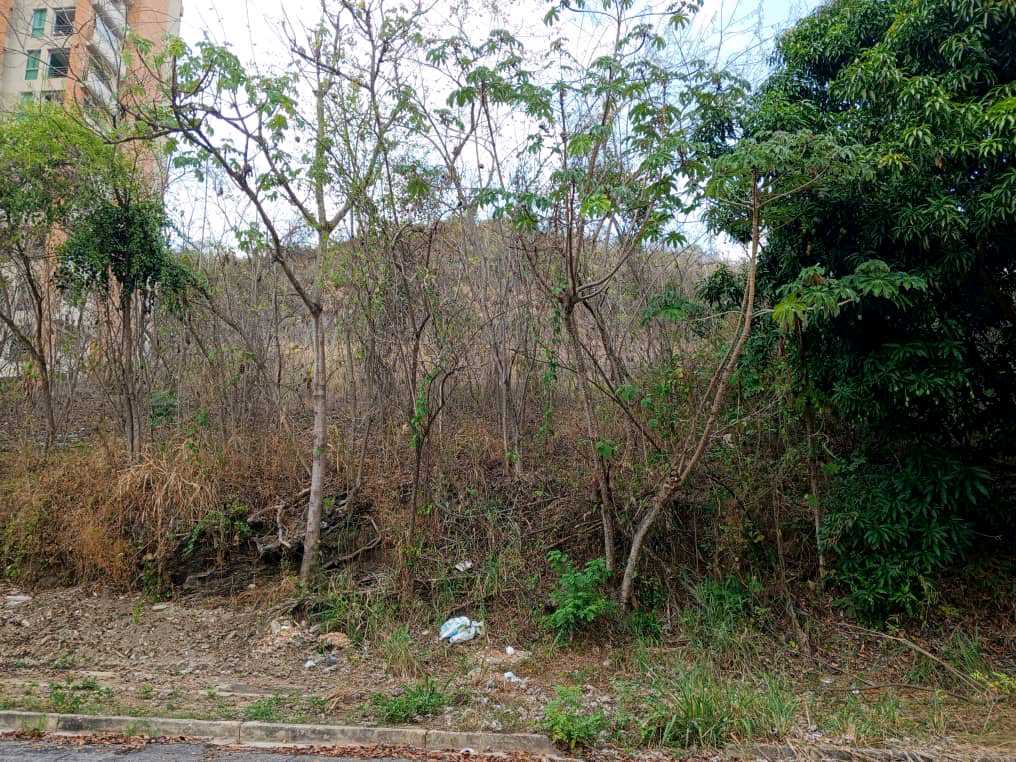 PARCELA EN VENTA EN EL PARRAL VALENCIA NORTE MVM-9549500 - Foto 5