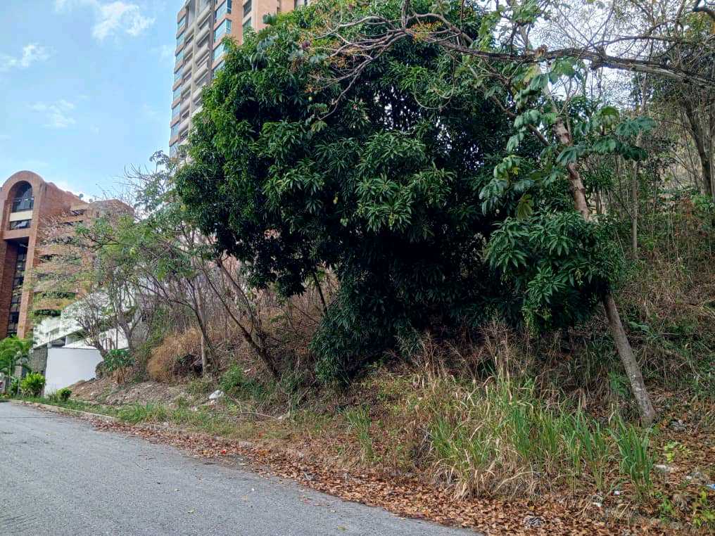 PARCELA EN VENTA EN EL PARRAL VALENCIA NORTE MVM-9549500 - Foto 6