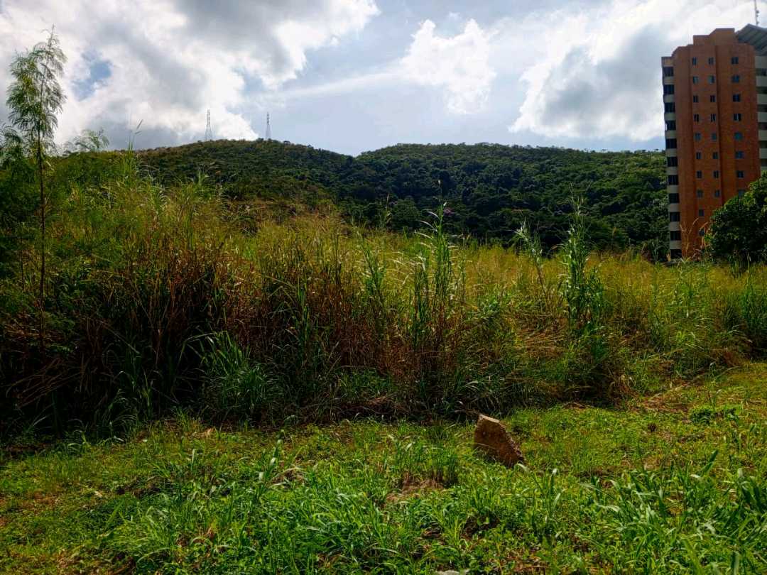 PARCELA EN VENTA EN TERRAZAS DEL MANANTIAL NAGUANAGUA MVM-9764660 - Foto 3