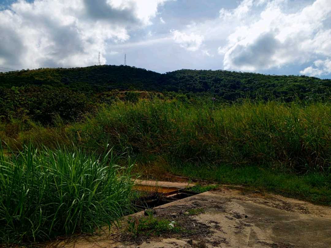 PARCELA EN VENTA EN TERRAZAS DEL MANANTIAL NAGUANAGUA MVM-9764660 - Foto 6